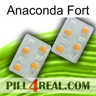 Anaconda Strong 25